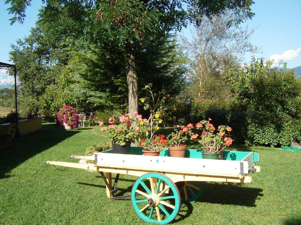 B&B Casale Ginette Incisa in Val d'Arno Екстер'єр фото